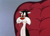 tumblr_ltiewu6N5A1qm6sfao1_500.gif