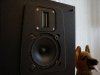 DSC02059.jpg