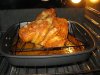 IMG_0244.jpg