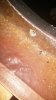 20160316_114734.jpg