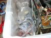 20160324_213057.jpg