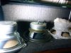 IMG_20160406_133705_247.jpg
