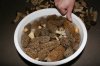 morels.jpg