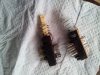 20160420_135146.jpg