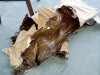 old veneer.jpg