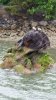 20160504_101619.jpg