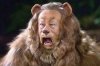 cowardly-lion.jpg