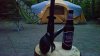 IMG_20160604_203407109.jpg