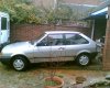 Car (Medium).jpg