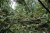 DSC_0584.JPG