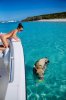 Swimming-Pigs-Bahamas-3.jpg