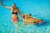 Swiming-Pigs-Staniel-Cay-Exuma-Cays-Bahamas-the-bachelor-2016-6.jpg