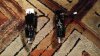 20160620_140146.jpg