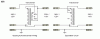 buckx-f4.gif