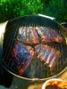IMG_1856.jpg