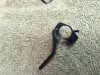 1300 cue arm repair.JPG