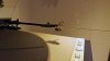 20160818_203826.jpg