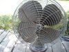 fans 001.JPG