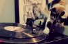 DJ-Cats-Pump-Up-the-Jam.jpg