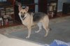 DSC_0276.JPG