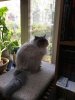 Teddy-CatDay_3068.jpg