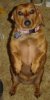 DSC0209.JPG
