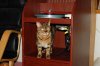 Dsc_1052.jpg