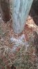 20161202_093928.jpg