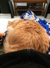 IMG_20161224_194340.jpg