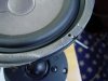 DSC03325.jpg