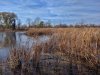 IMG_20161118_125729-01.jpeg