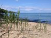 IMG_20160702_162519.jpg