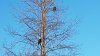 20170111_135348 copy.jpg
