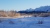 20170111_135610 copy.jpg