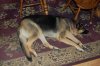 DSC_0086.JPG