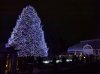 IMG_20161210_185657.jpg