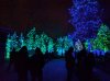 IMG_20161210_182727.jpg