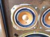 IMG_20170126_123601.jpg