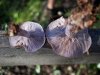 P1250552_Blewit_sm.jpg P1250552_Blewit_sm.jpg