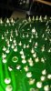 20170219_165618.jpg