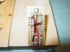 DSC04054.jpg