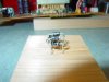 DSC04107.jpg