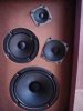 Mystery speaker components.jpg