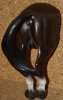 DSC00626.jpg