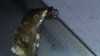 20170504_200423.jpg