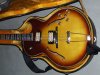Ibanez FA.JPG