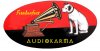 RCA3.jpg