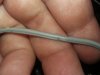 20170523_151846.jpg
