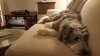 20170531_224804.jpg