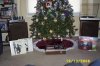Gear Christmas 001.jpg